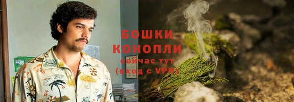 винт Нея