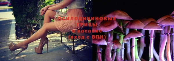 СК Аркадак