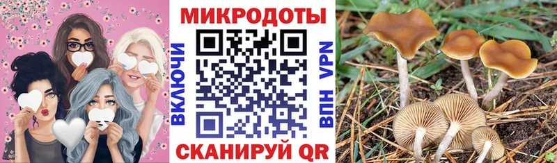 Галлюциногенные грибы MAGIC MUSHROOMS  Лениногорск 